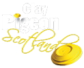 Clay Pigeon Scotland